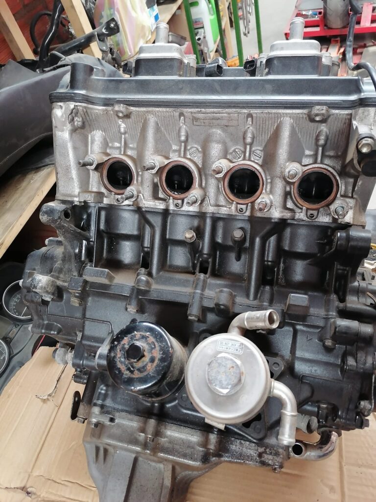 482227347_1432519261489910_7385755485188351790_n