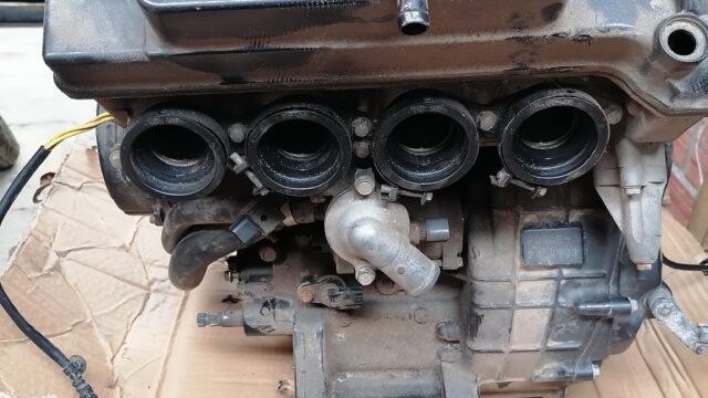 482988961_1432519244823245_4112344097790271891_n