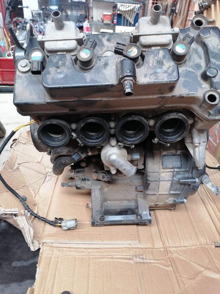 482988961_1432519244823245_4112344097790271891_n