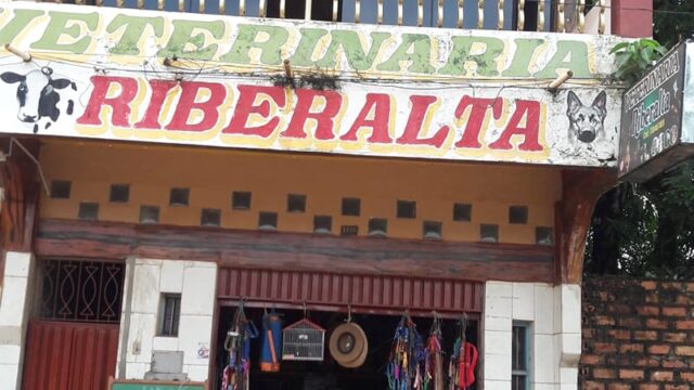 48314169_1200169946801178_1235811830799007744_n