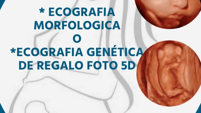 483526818_1164941352084420_5790022448521890456_n