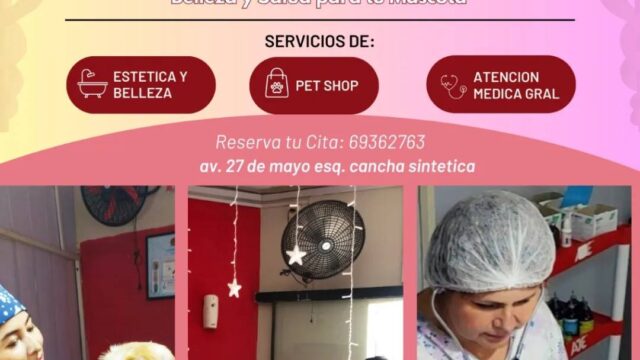 483768600_619507807518541_837164381134671463_n