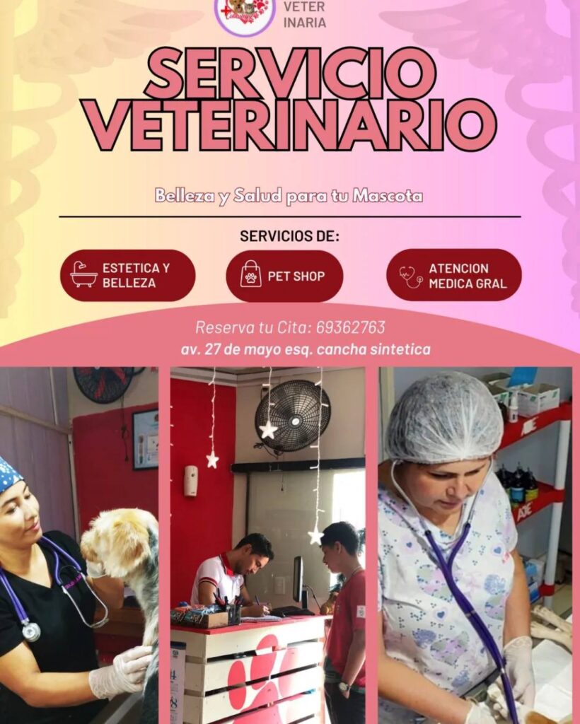 483768600_619507807518541_837164381134671463_n