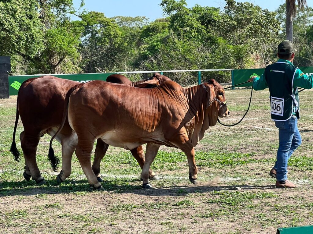 COMPLEJO LAB F.C.P MEDICINA VETERINARIA Y ZOOTECNIA