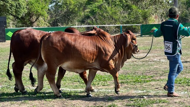 483917633_1051644523659835_3498128794275529151_n