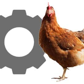 484005787_1106018218233908_424447301749236739_n