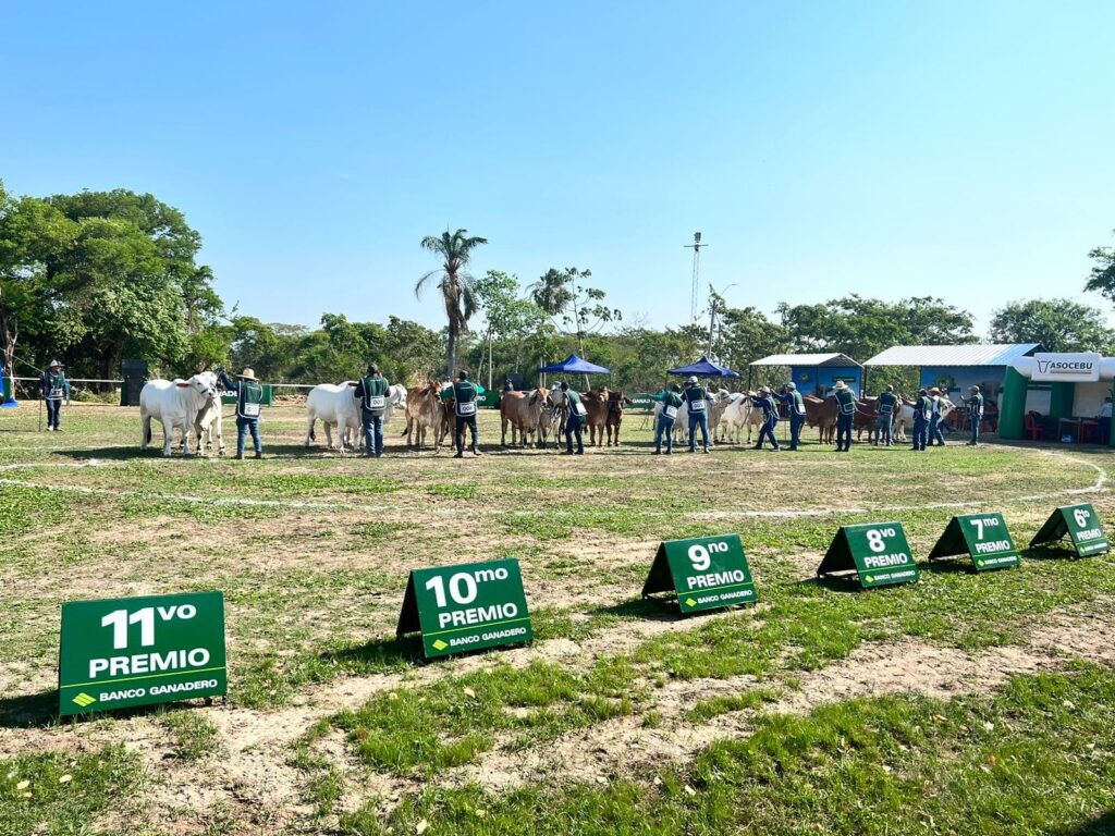 484035941_1051644373659850_7084928116374160174_n