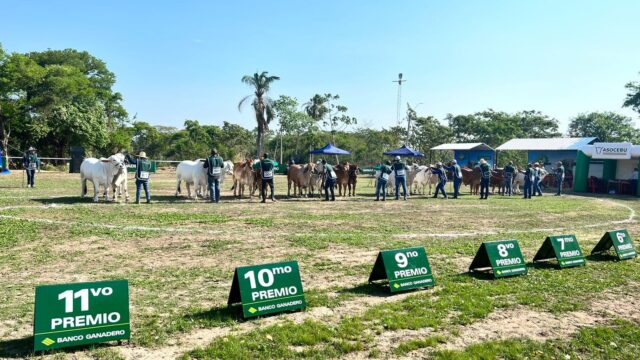 484035941_1051644373659850_7084928116374160174_n