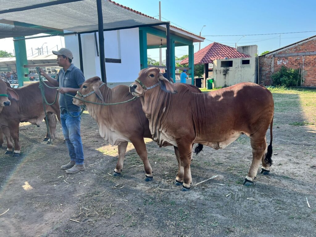 484084309_1051644170326537_352919163411569426_n