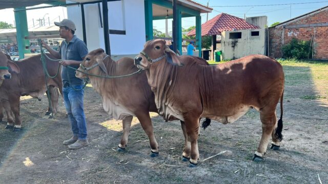 484084309_1051644170326537_352919163411569426_n