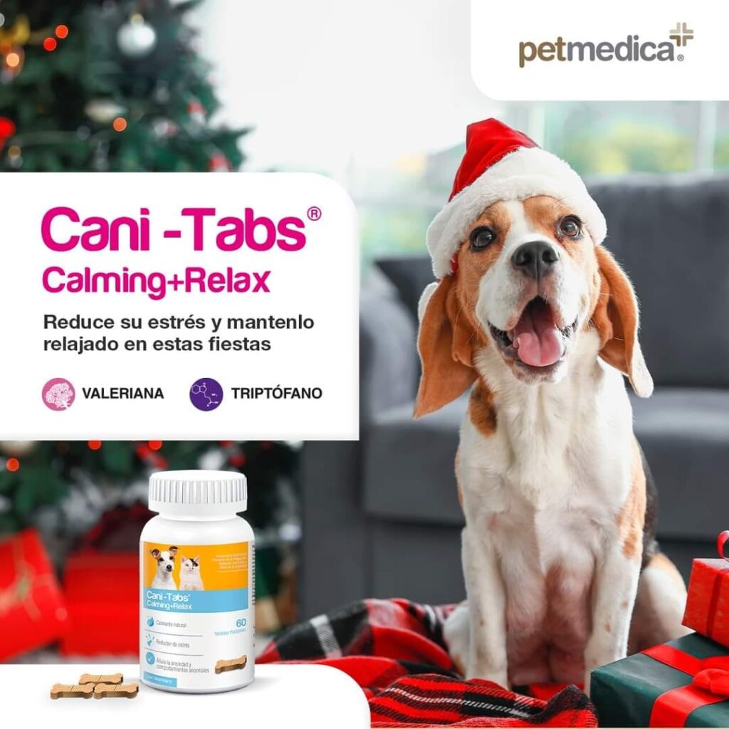 484253976_658495470458745_5676007497557252380_n