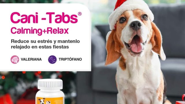 484253976_658495470458745_5676007497557252380_n