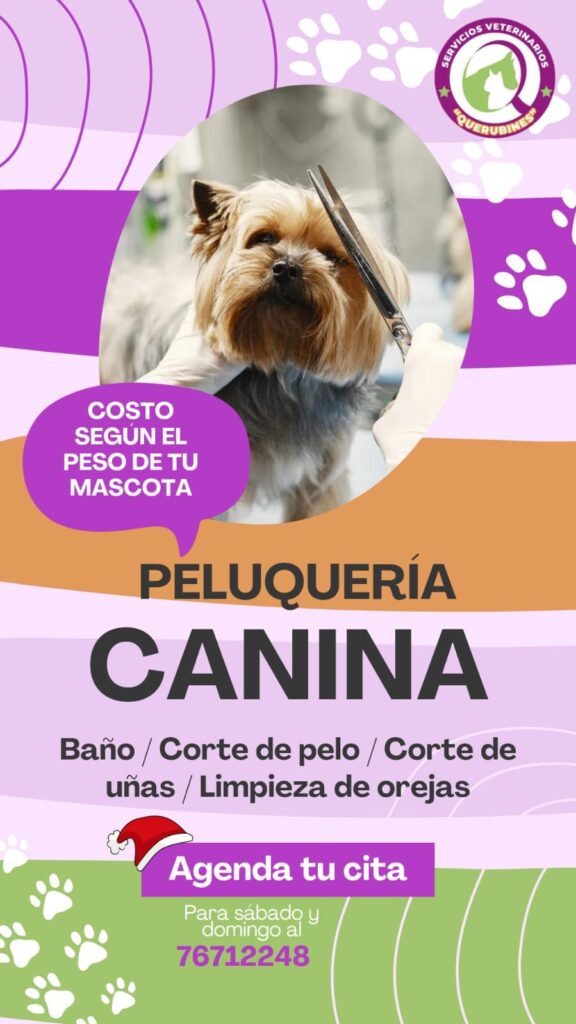 484317641_658262353815390_1286984456061725247_n