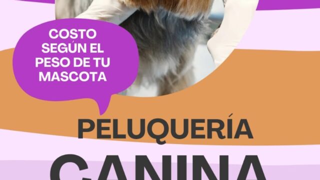 484317641_658262353815390_1286984456061725247_n