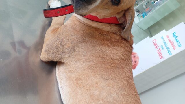 484352500_659509007024058_3976845830766951113_n