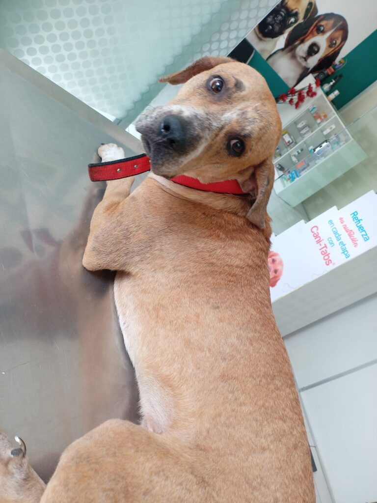 484352500_659509007024058_3976845830766951113_n