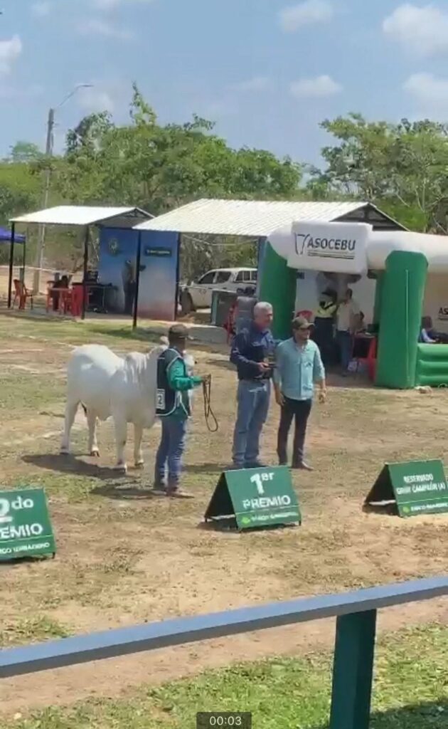 484541079_1051644226993198_5141488368966877010_n