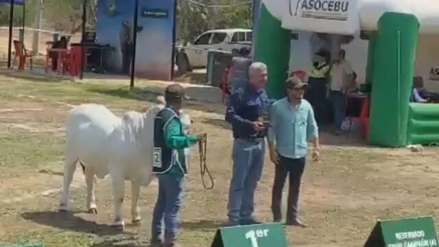 484541079_1051644226993198_5141488368966877010_n