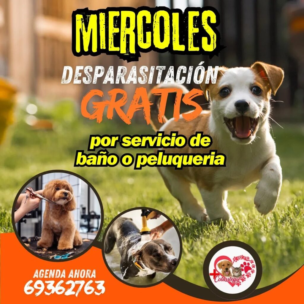 484620335_621819870620668_752521213655521450_n