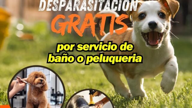 484620335_621819870620668_752521213655521450_n