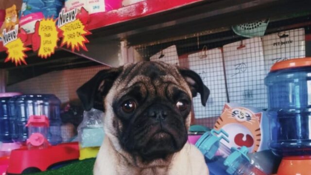 484844425_621175747351747_1866409971179504530_n