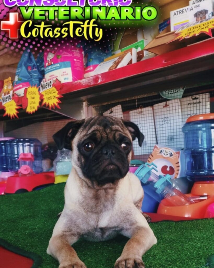 484844425_621175747351747_1866409971179504530_n