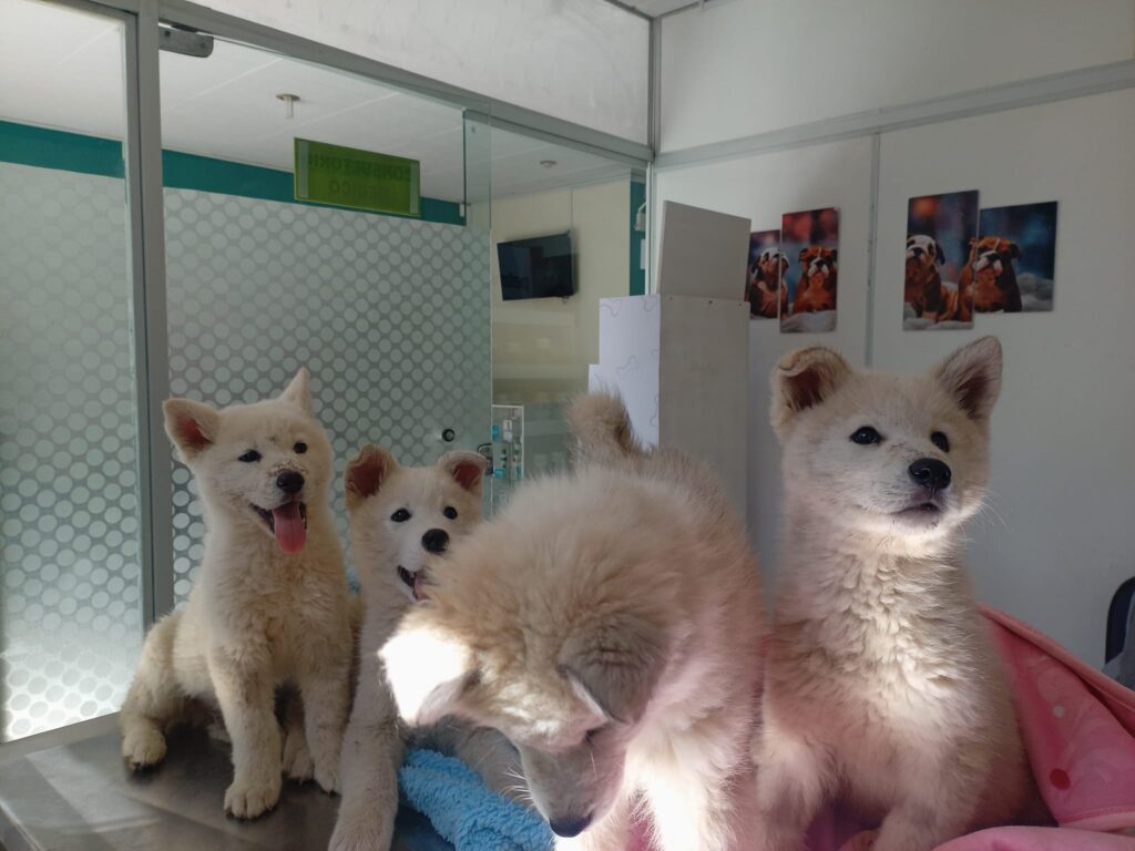 484872432_661442046830754_8605059751873634287_n