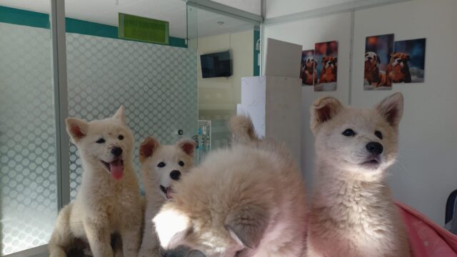 484872432_661442046830754_8605059751873634287_n