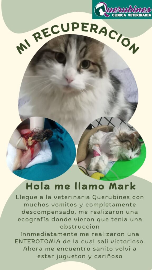 484946510_663189343322691_8675494676091050597_n