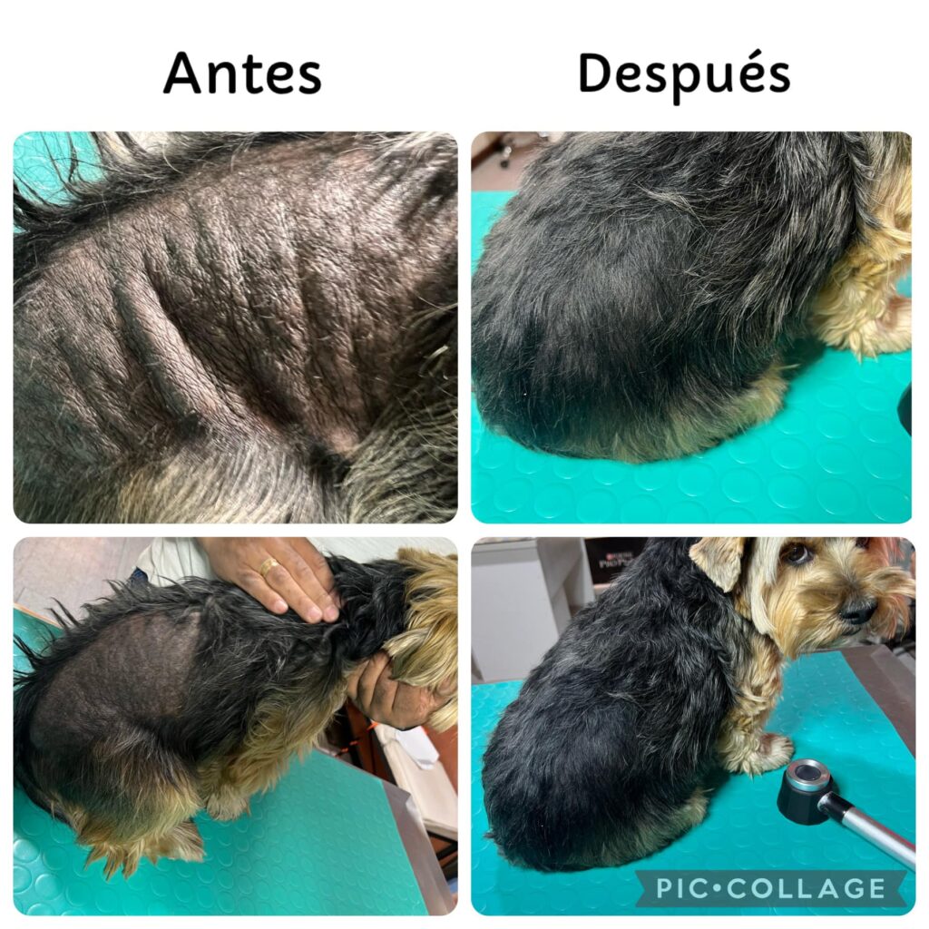 485005533_680453621176137_122508561589213842_n