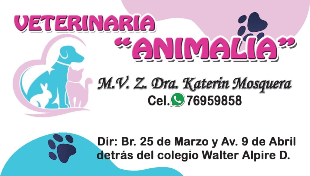 485024380_1940508373146160_1243216827245868241_n