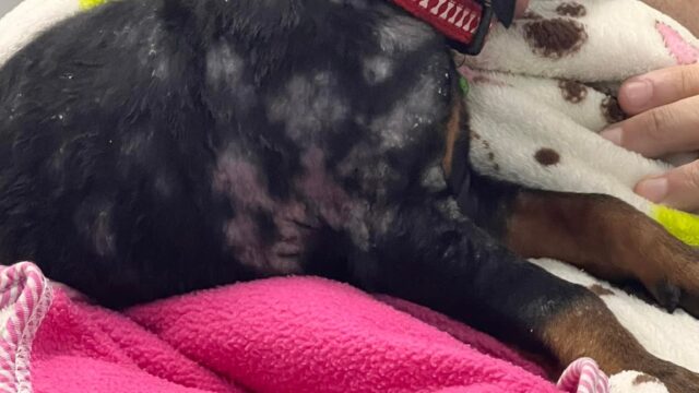 485138654_681522304402602_22670575544073126_n