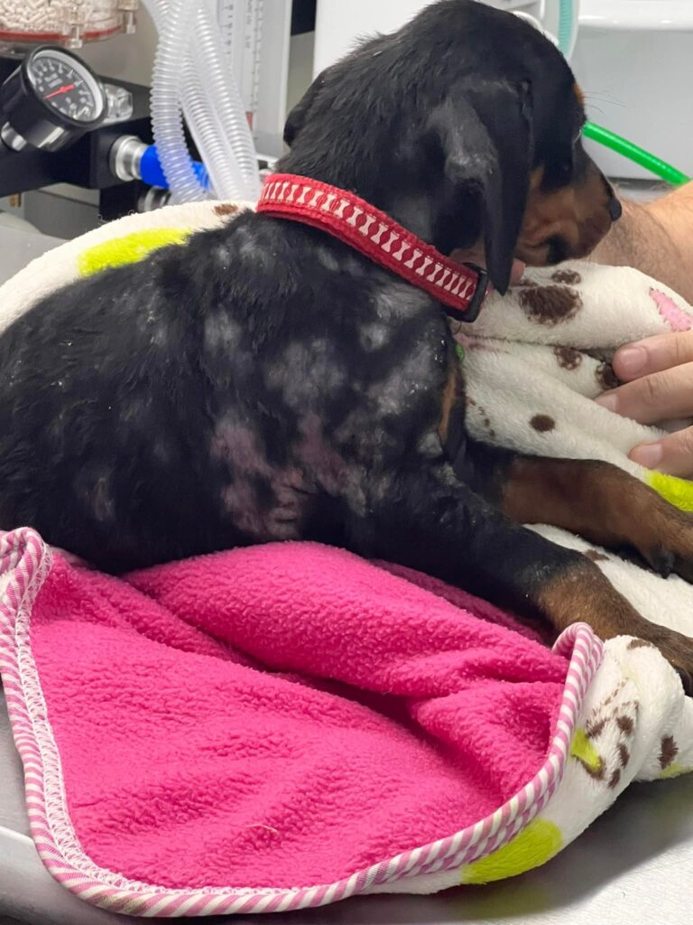 485138654_681522304402602_22670575544073126_n