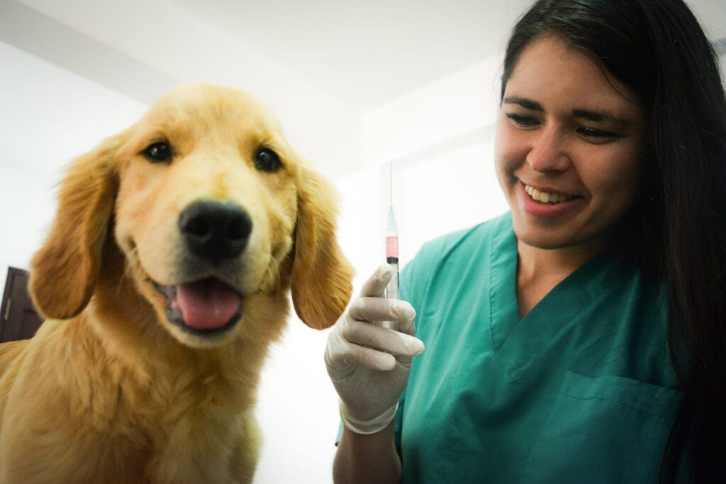 485143072_122102073782806838_2701544051231795779_n