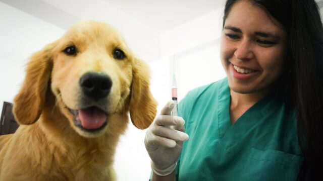 485143072_122102073782806838_2701544051231795779_n