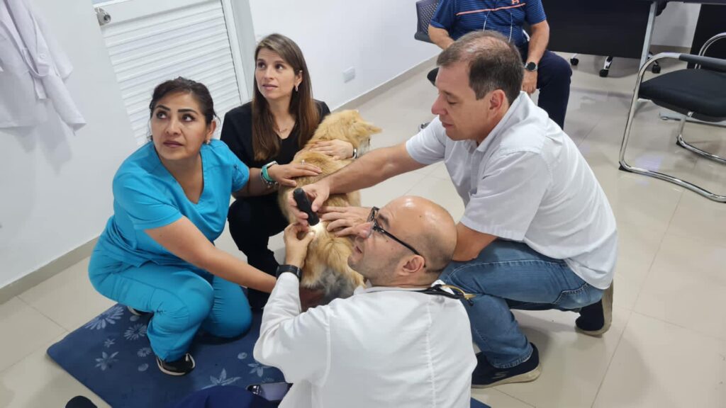 485164421_681522584402574_3123553933261377098_n