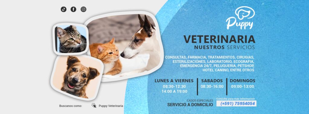 485283987_122094535214821327_1073340144592551899_n