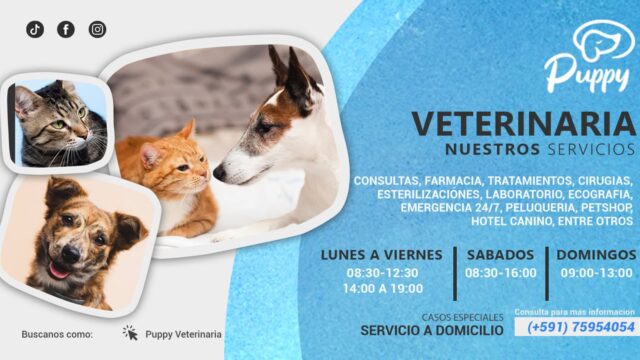 485283987_122094535214821327_1073340144592551899_n