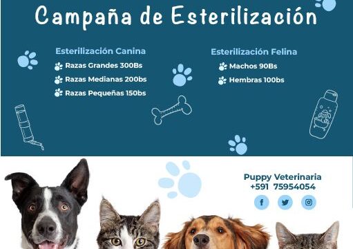 485797870_122104130276806838_3726226046265761356_n