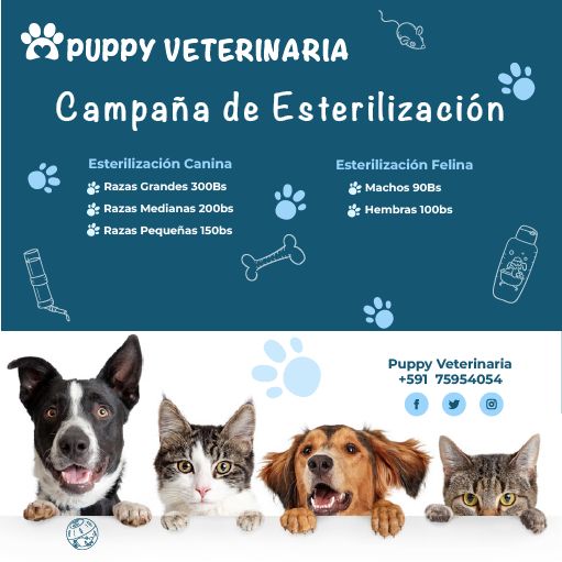 485797870_122104130276806838_3726226046265761356_n