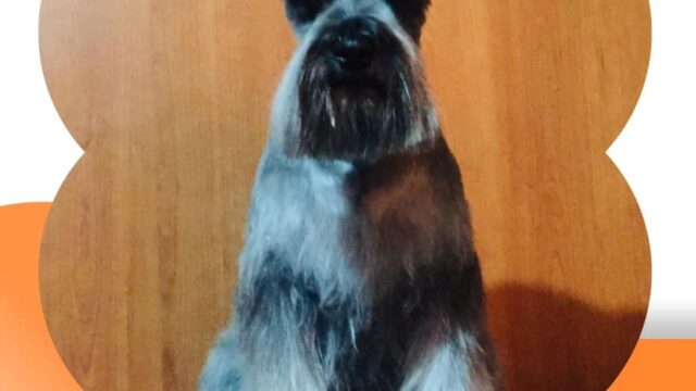 485925314_9506147839442945_7872225918690559581_n