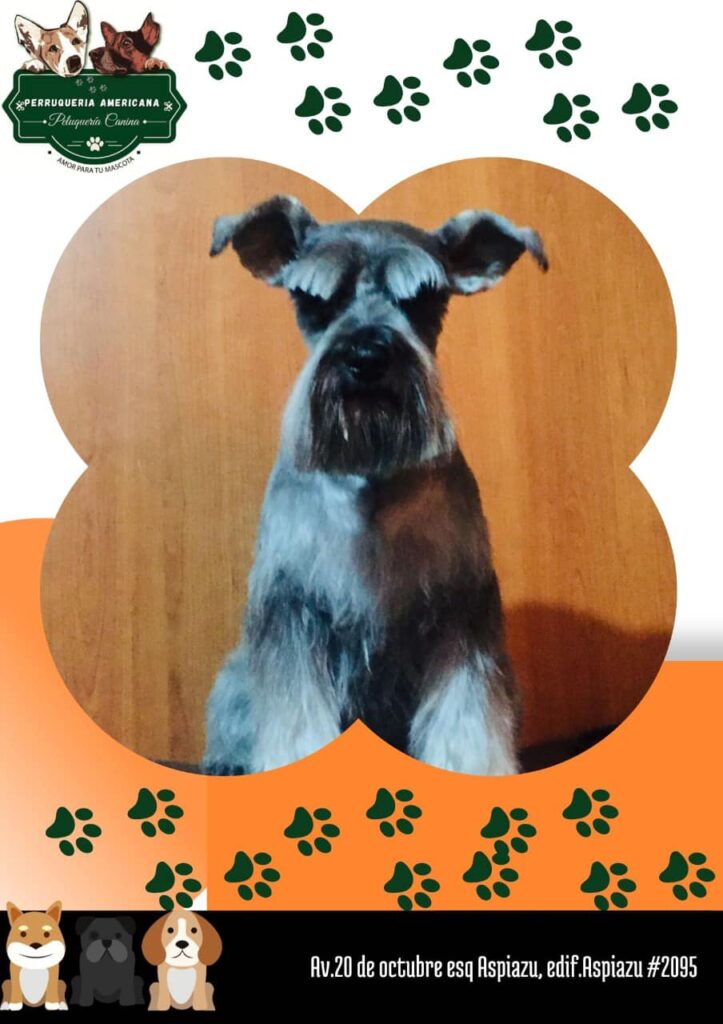 485925314_9506147839442945_7872225918690559581_n