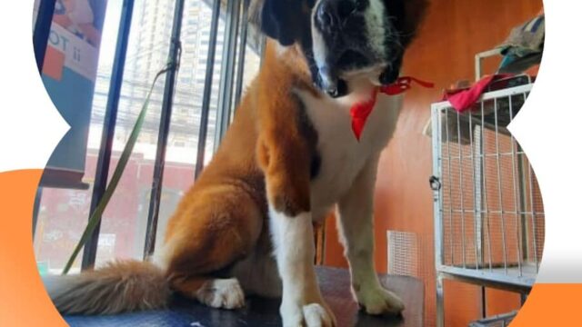 486030349_9506147696109626_6214093764009409553_n