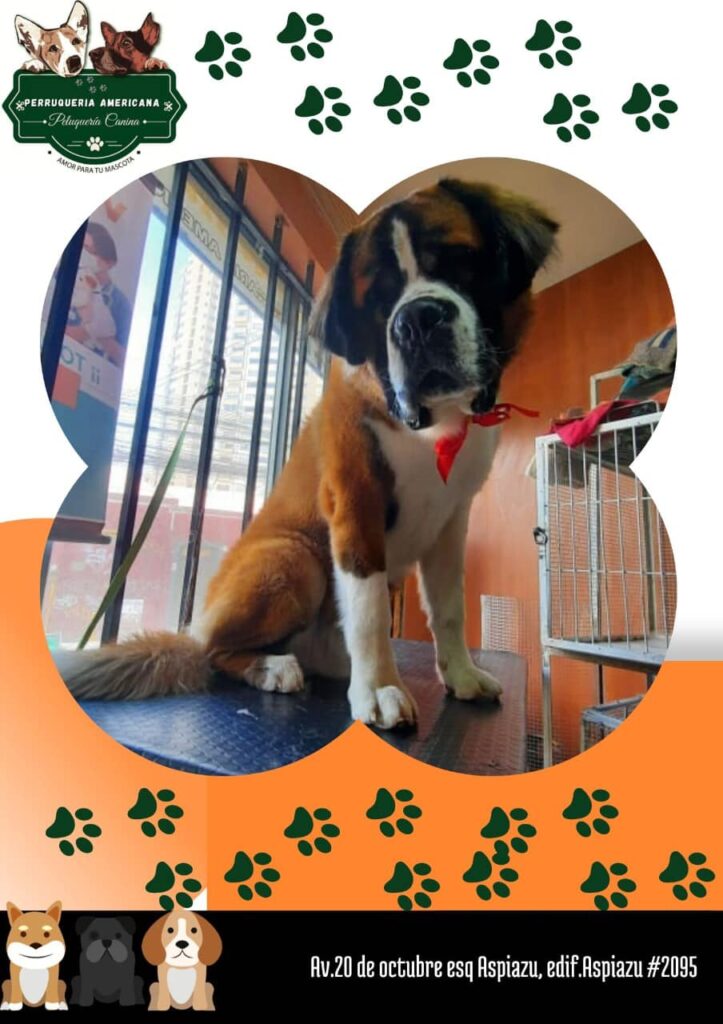 486030349_9506147696109626_6214093764009409553_n