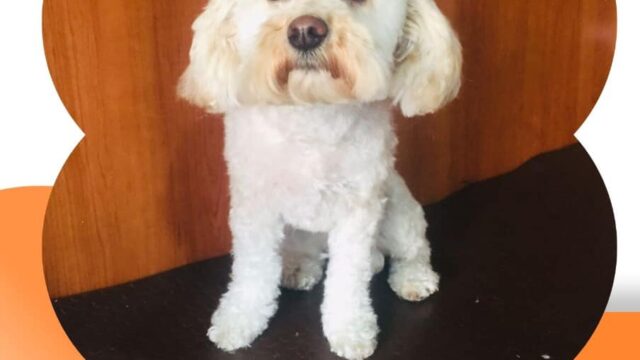 486034321_9506147869442942_4682453386401566697_n