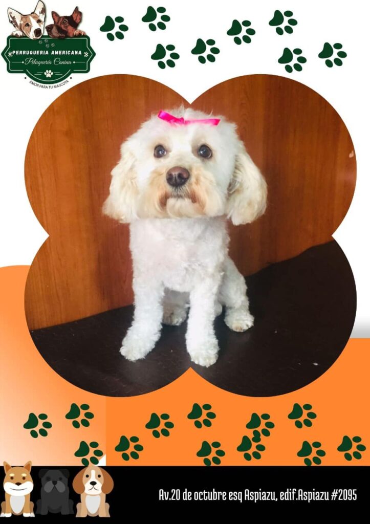 486034321_9506147869442942_4682453386401566697_n