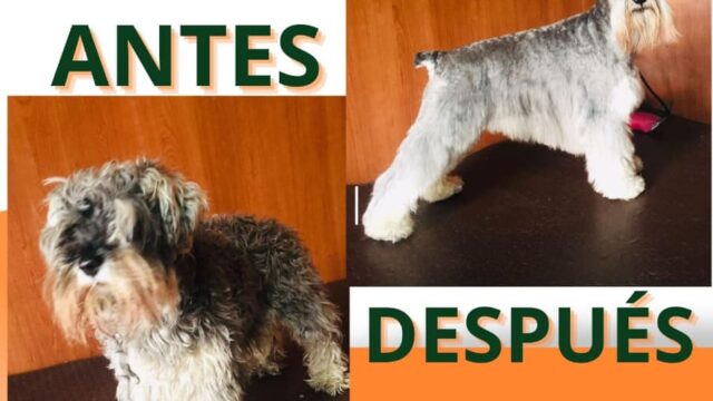 486068647_9506147776109618_1344019649433221279_n