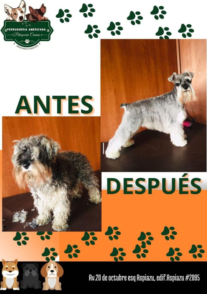 486068647_9506147776109618_1344019649433221279_n