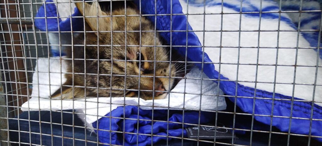 487335912_9389517411138167_3040951070212486154_n