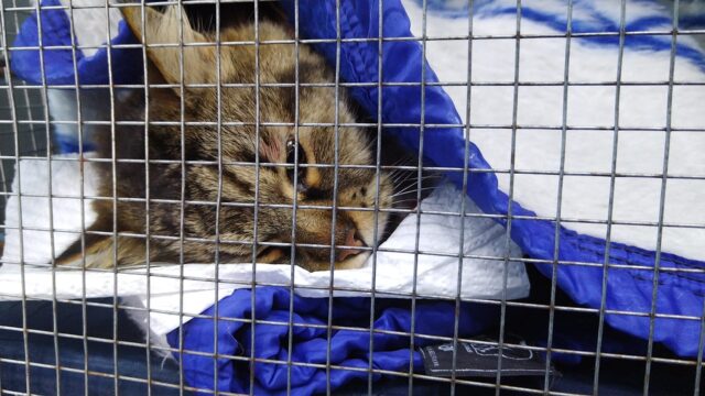 487335912_9389517411138167_3040951070212486154_n